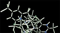 Protein synthesis, regulation, and degradation